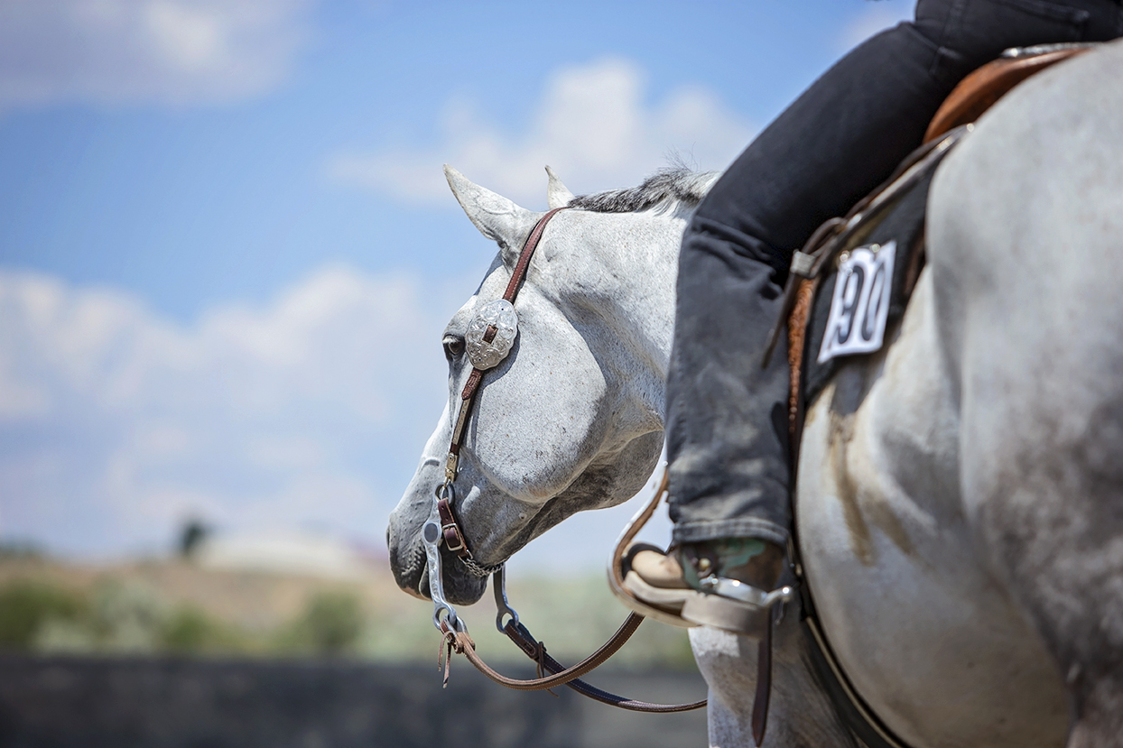 Gray horse under saddle at a horse show with rider leg visible against a blue sky